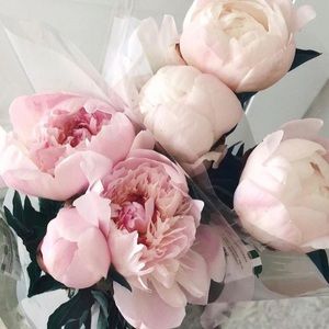 Meet your Posher, Ang